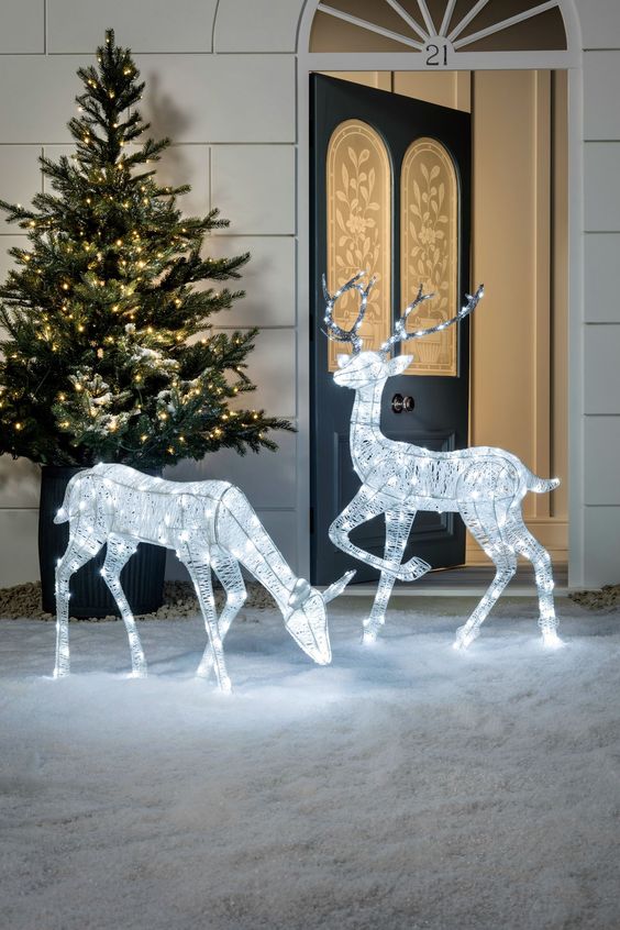 Reindeers by the Door