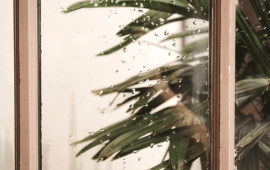 Tips for Making Your Home Rainy Season-Ready