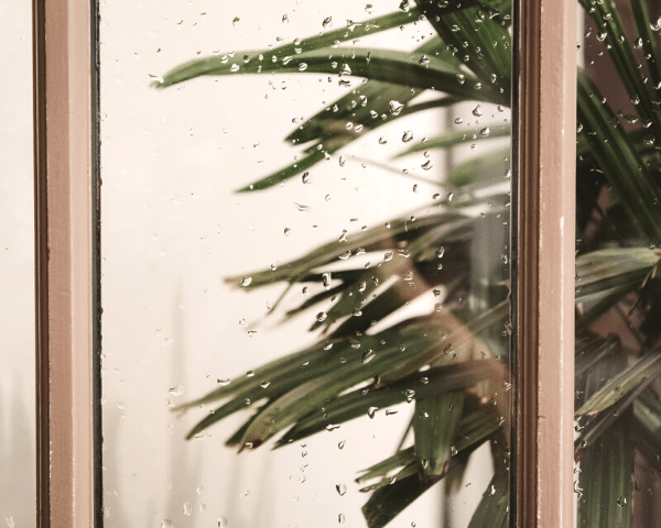 Tips for Making Your Home Rain Season-Ready