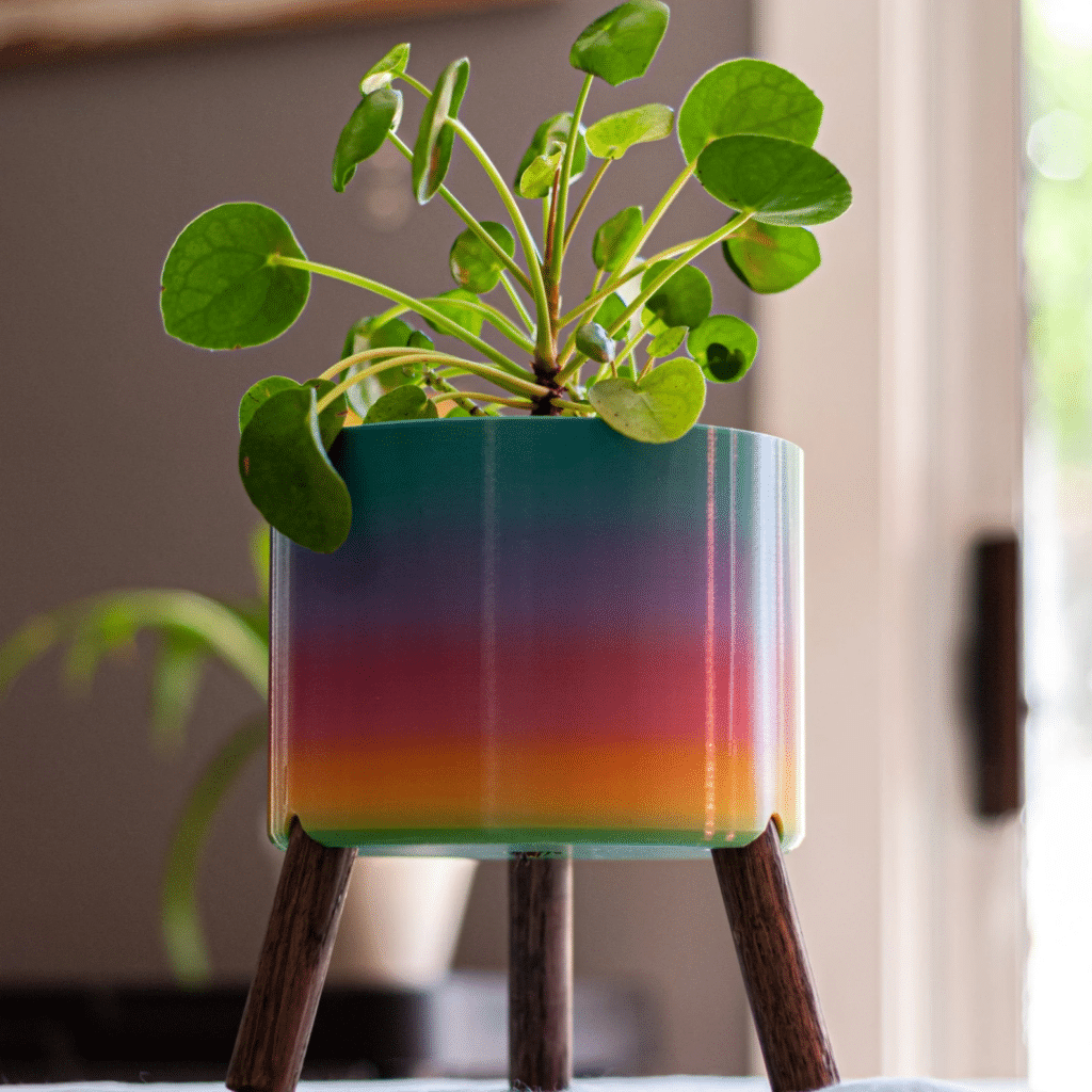 Pride-inspired minimalist printed planter by 4RFarmhouse on Etsy