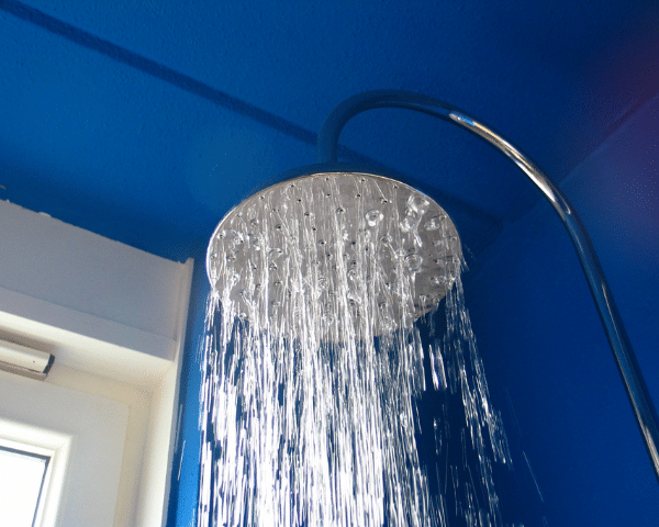 shower head