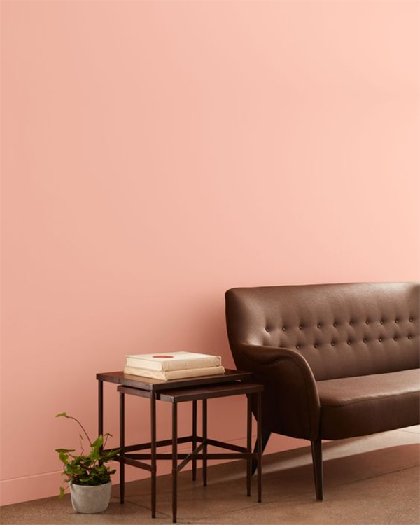 Peach Fuzz and Dark Brown Seating Area