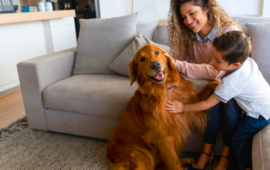 a family petting a dog in the living room