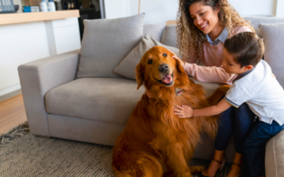 Maintaining a Fresh Space with Pets: 6 Easy Steps