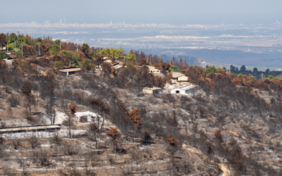 How to Protect Your Home from Wildfires