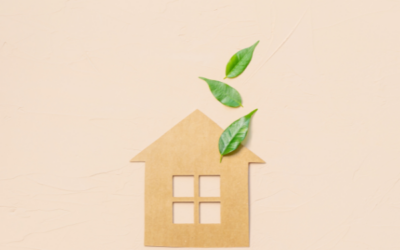 Green Living: Eco-Friendly Home Practices for Spring in San Diego