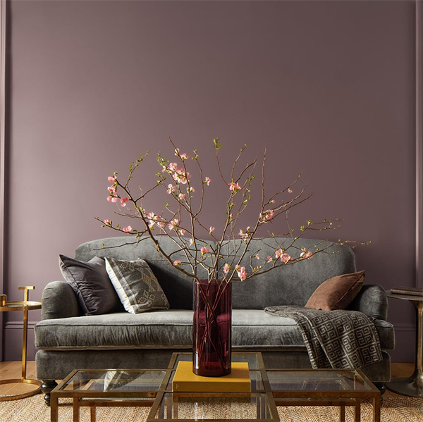 Living Room Wall in "Cinnamon Slate" by Benjamin Moore