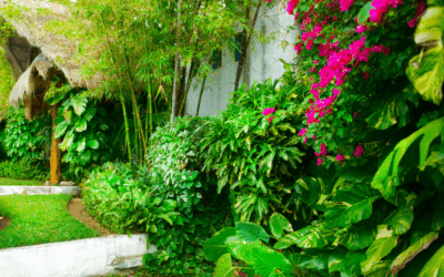 Why Landscaping Is More Than Just a Pretty Yard