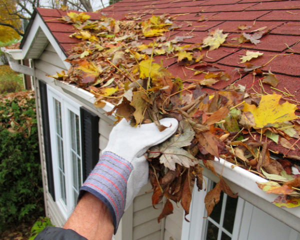Easy Fall Checklist That Keeps Creepy Problems Away from Your Home