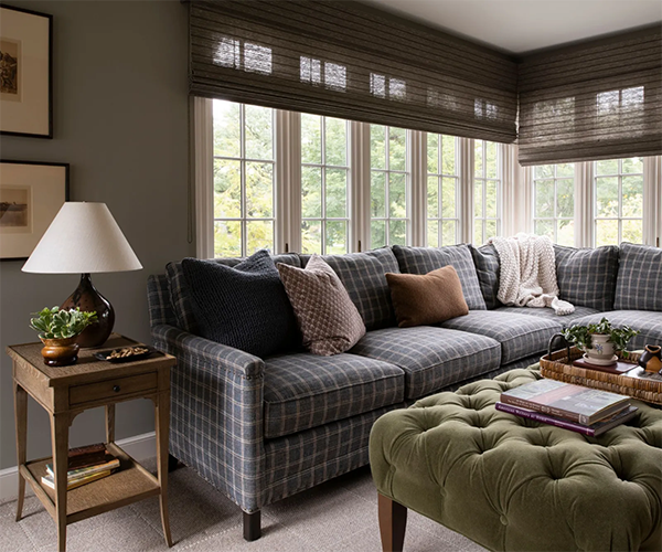 Blue patterned sofa in a cozy living room