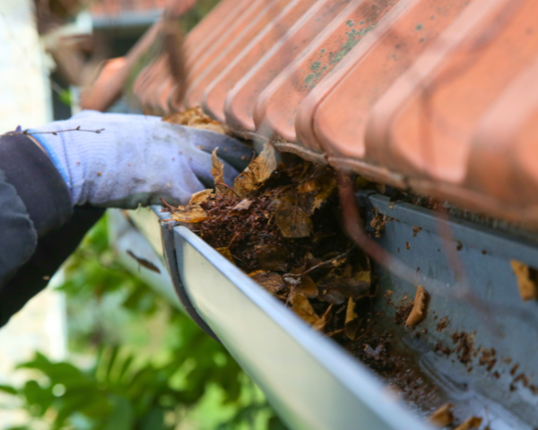 person clearing the roof gutter