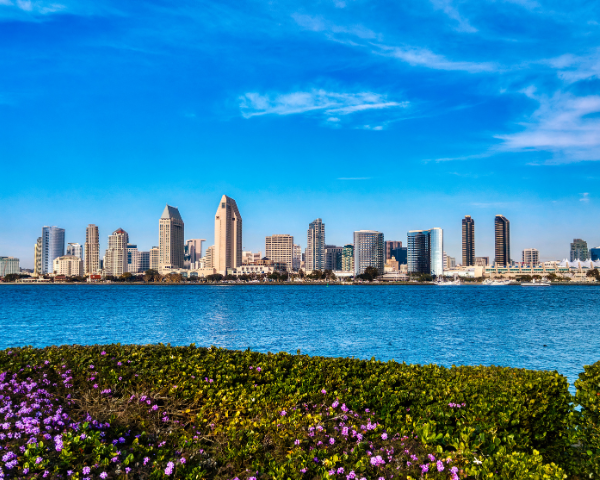 A vibrant city skyline under a clear blue sky rises beyond a tranquil body of water. In the foreground, lush greenery and purple flowers add contrast and color