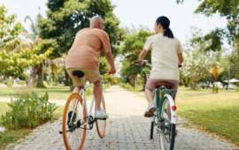 Two people ride bicycles down a tree-lined path in a sunny park. The lush greenery and calm atmosphere suggest a peaceful, leisurely tone.