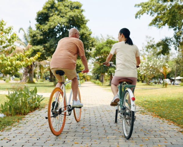 Two people ride bicycles down a tree-lined path in a sunny park. The lush greenery and calm atmosphere suggest a peaceful, leisurely tone.