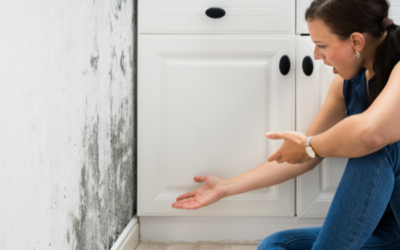 How to Manage the Humidity Inside Your California Home