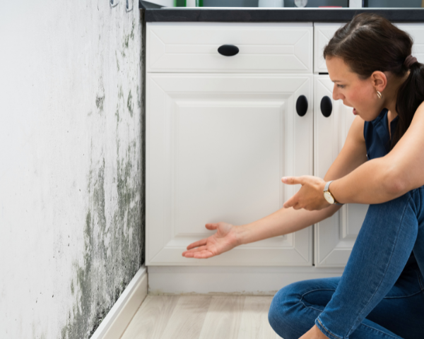 Woman kneels in a kitchen, gesturing frustratedly at black mold growing on a white wall next to cabinetry. The setting appears tense and concerned.