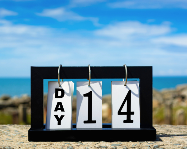 A flip calendar shows DAY 14 against a sunny beach background with blue skies and ocean, suggesting a relaxed, vacation vibe.