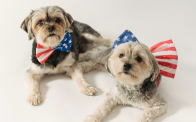 4th of July Online Finds You Didn’t Know You Needed