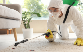 pest control spraying under the couch with visible roaches killed on the ground