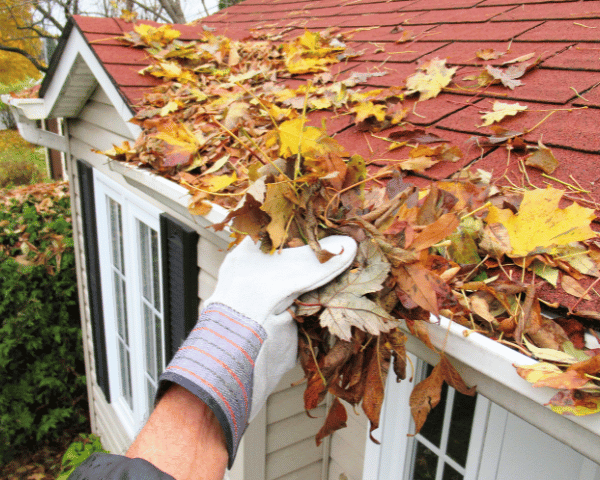 Gloved hand clears colorful autumn leaves from the gutter of a red-shingled house roof, highlighting seasonal home maintenance.